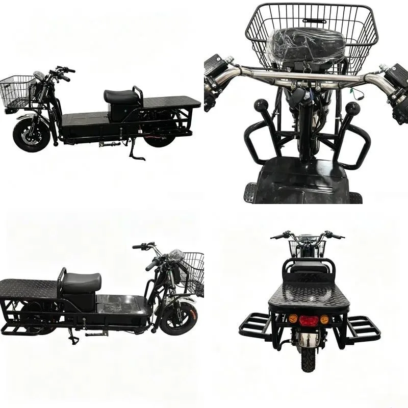 Heavy Duty 3 Speed Lithium Battery Electric Bicycle with Large Basket Two Seater Pedal Assist for Family Shopping City Travel