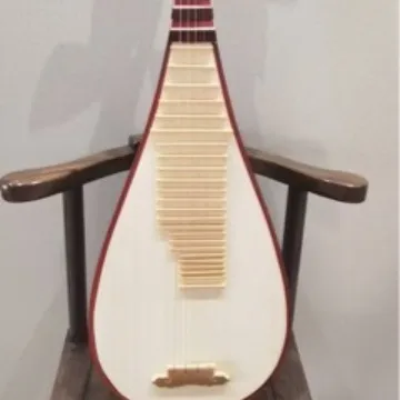 

Инструмент Pipa из палисандра, профессиональная производительность, любительский взрослый резной модель из красного дерева для начинающих