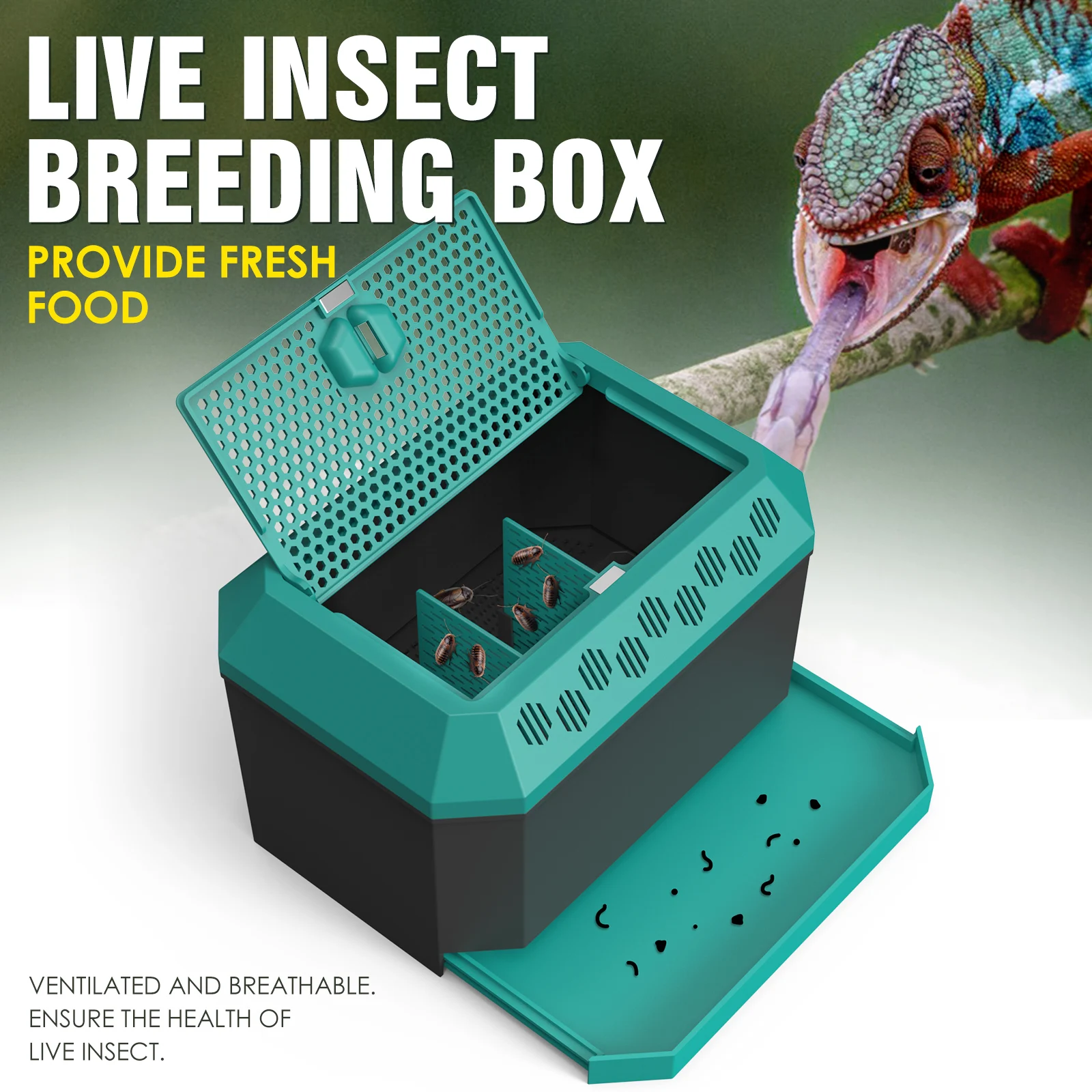 Live food storage box for lizards and chameleons, suitable for raising mealworms, crickets, Dubia cockroaches, super worms