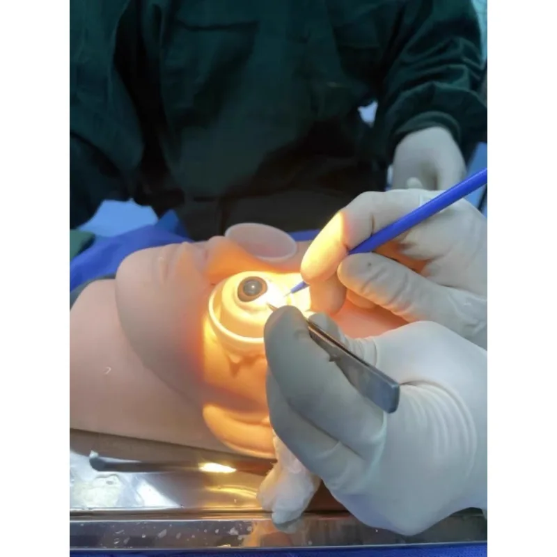 Ophthalmic Head Simulation Practice Model Eye Simulator Stand for Cataract Capsulorhexis Training&Ophthalmology Study