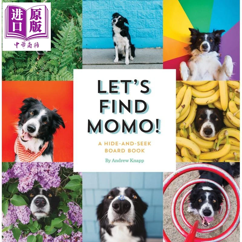 

Lets Find Momo Find Momo 1 Let's Find Momo English Original Board Book A Hide-And-Seek Board Book Dog Book