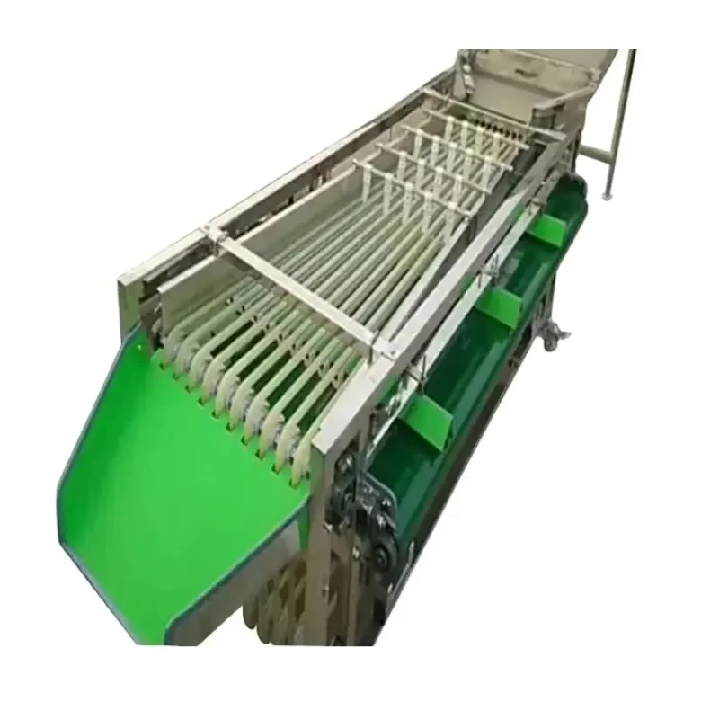 

High Quality Easy to Operate Plum Date Size Grading Machine Saudi Arabia Date Palm Blueberry Fruit Automatic Sorting Machine