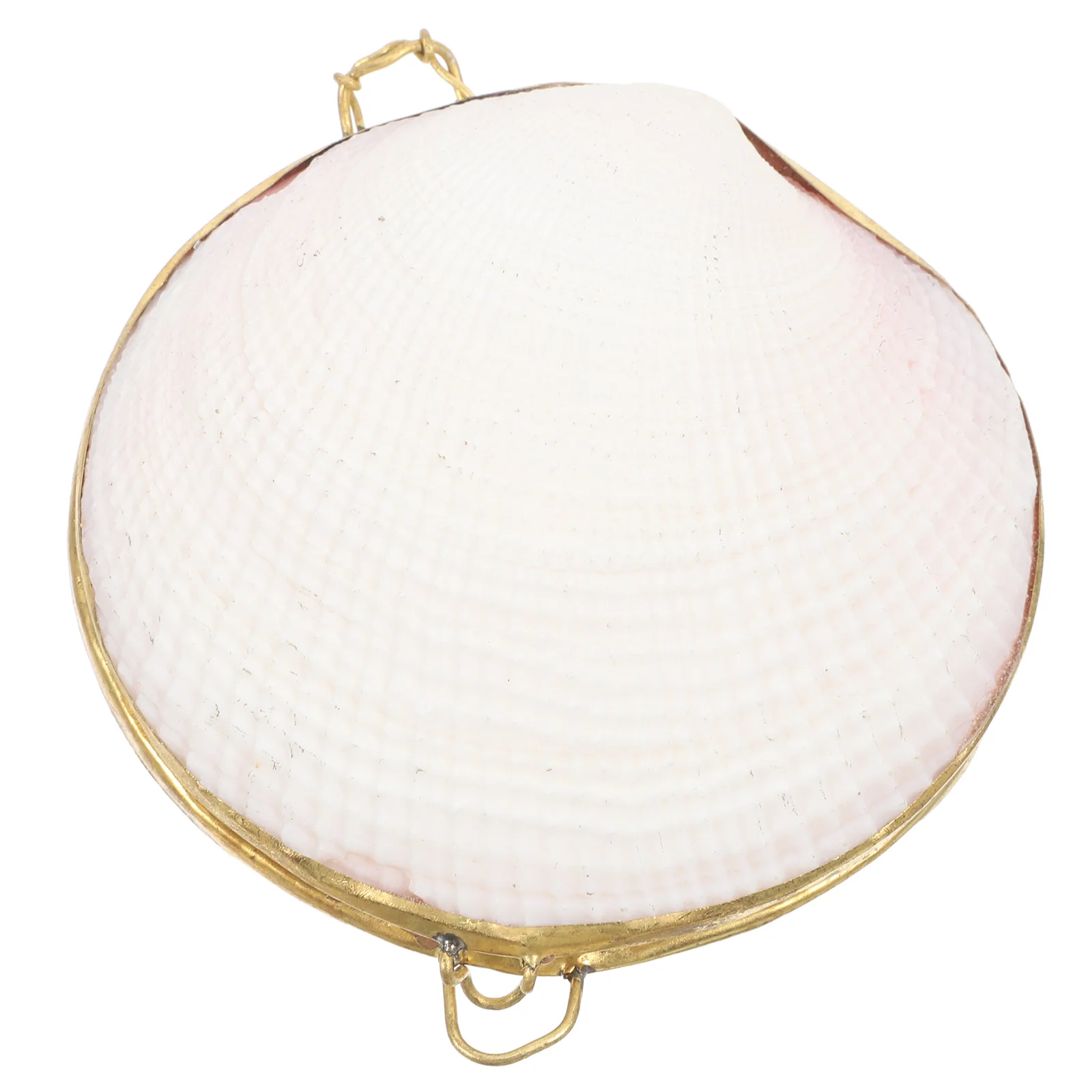 5pcs shell jewelry case jewelry storage case jewelry storage container jewelry storage box earring box