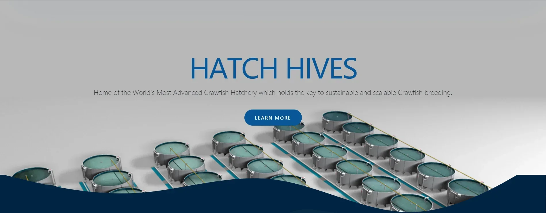 Mini système Ras intégré, système de peaux de poisson tilapia, machines de pêche