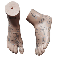 20cm Foot reflex zone massage model, not acupuncture model, English code TCM Feet Reflexology, 2pcs = 1 pair