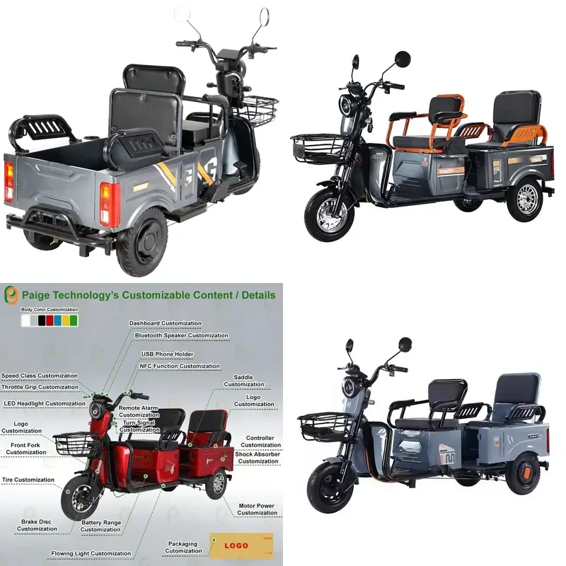 Paige 600W 800W 1000W Direct Factory Custom Cheap Adult Electric Cargo Tricycle Personal Closed Cabin Electric Motor Tricycle