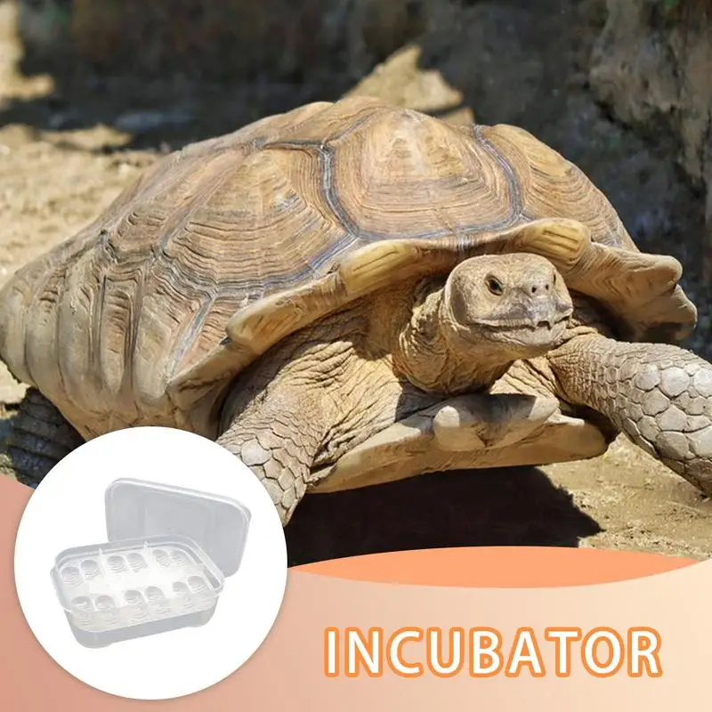 Caja de cría de tortuga, 12 rejillas, bandeja incubadora de huevos para reptiles, bandeja de incubación transparente para anfibios para Gecko, lagartos, serpientes y leones