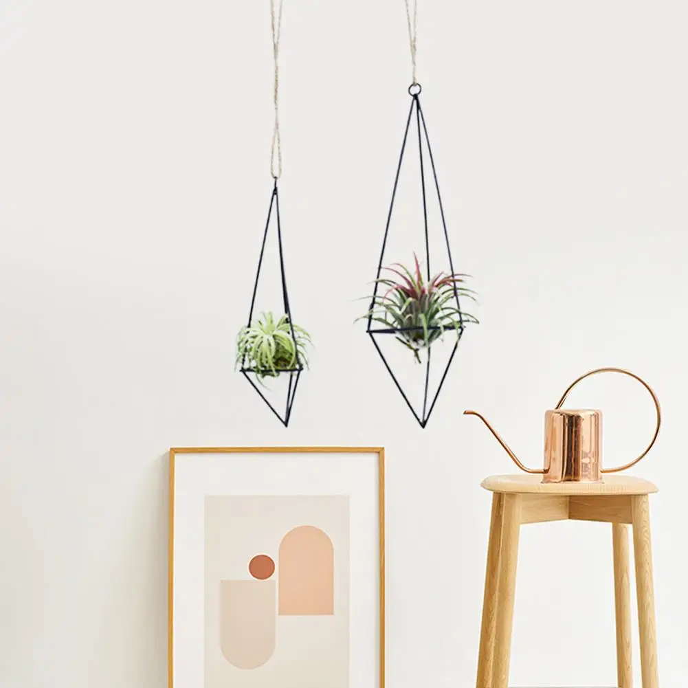 1 Set Flower Display Holder  Aesthetic Structure   Tillandsia Holder Unique Hanging Air Plant Holder Tillandsia Planter