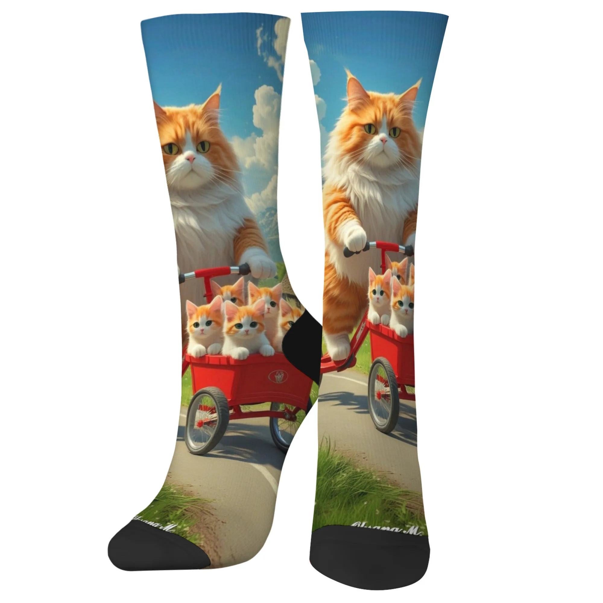 

The pastoral style of a long-haired cat with fantastical colors print novelty funny men's socks Harajuku retro style socks gift