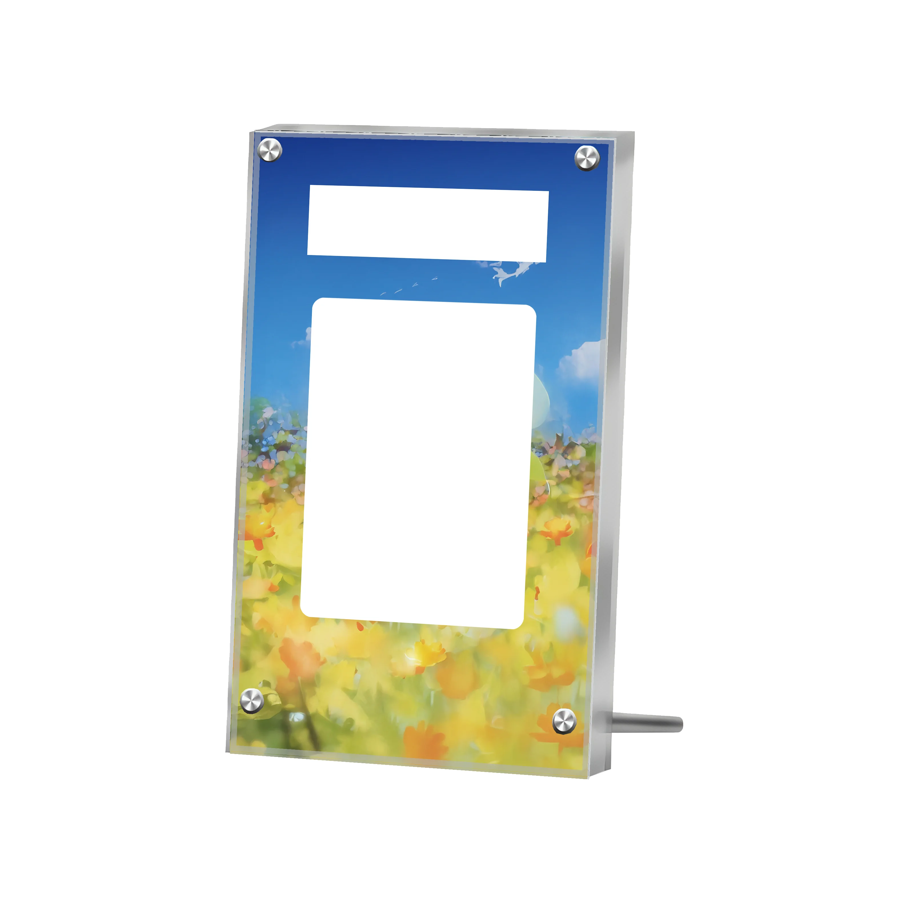 cartao-de-determinacao-pokemon-anime-lillie-estojo-de-exibicao-de-arte-estendida-cartao-de-colecao-pintura-estendida-rack-de-exibicao-psa-excluindo