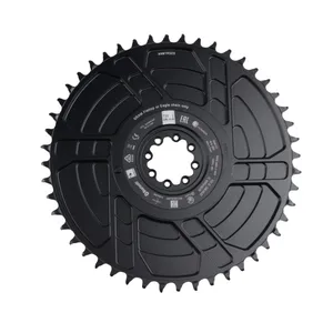 SRAM Quarq Red Force AXS D1 Energy Messspider 107 BCD 8 Schrauben Direkte Montage 1x/2x Original SRAM Red Achs Powerkette 48T 10 Hauptverkaufsquarque SRAM - №1