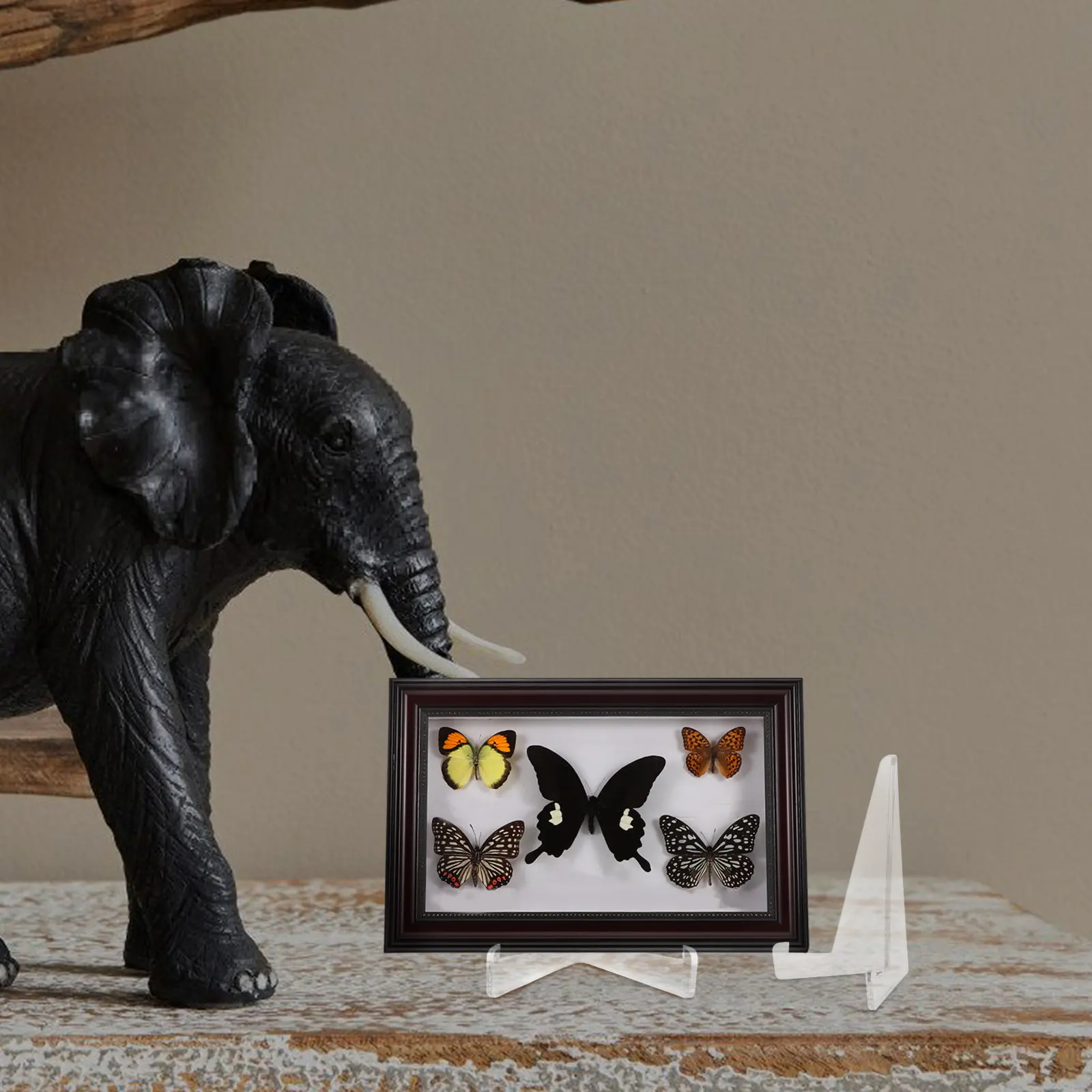 

Набор из 25 треугольных акриловых подставок-мольбертов для демонстрации монет, фотографий, карточек, коллекционных предметов