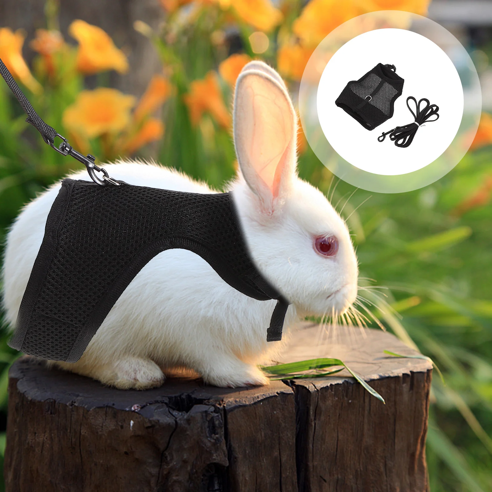 

1 set Rabbit Harness Leash Set Breathable Lightweight Pet Vest For Small Animals Outdoor Walking Bunny Traction Rope Guinea Pig