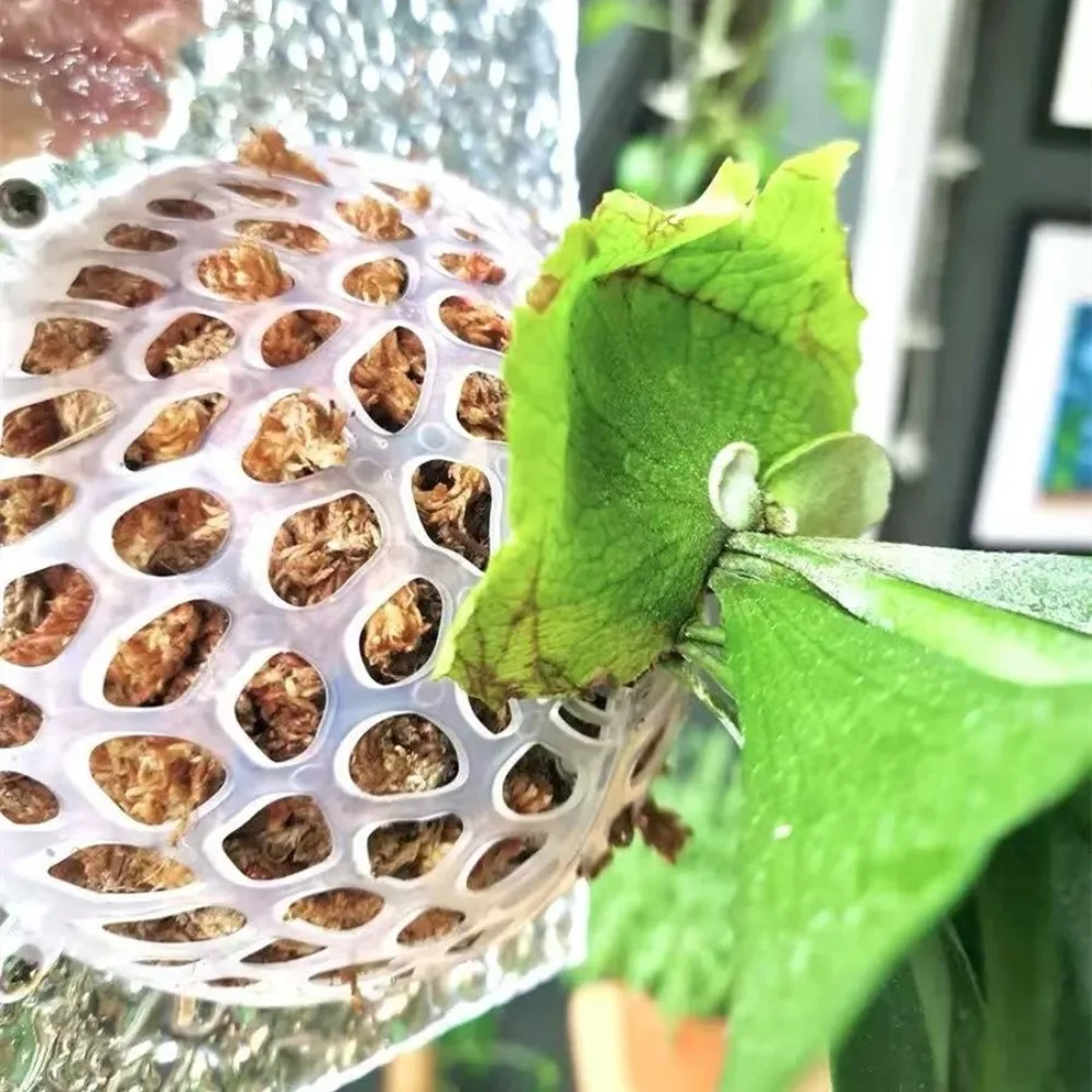 Hollowed Plants Soil Protector Cover Plastic Transparent Floral Hole Cover Replaceable Aquatic Plant Suspension Ball
