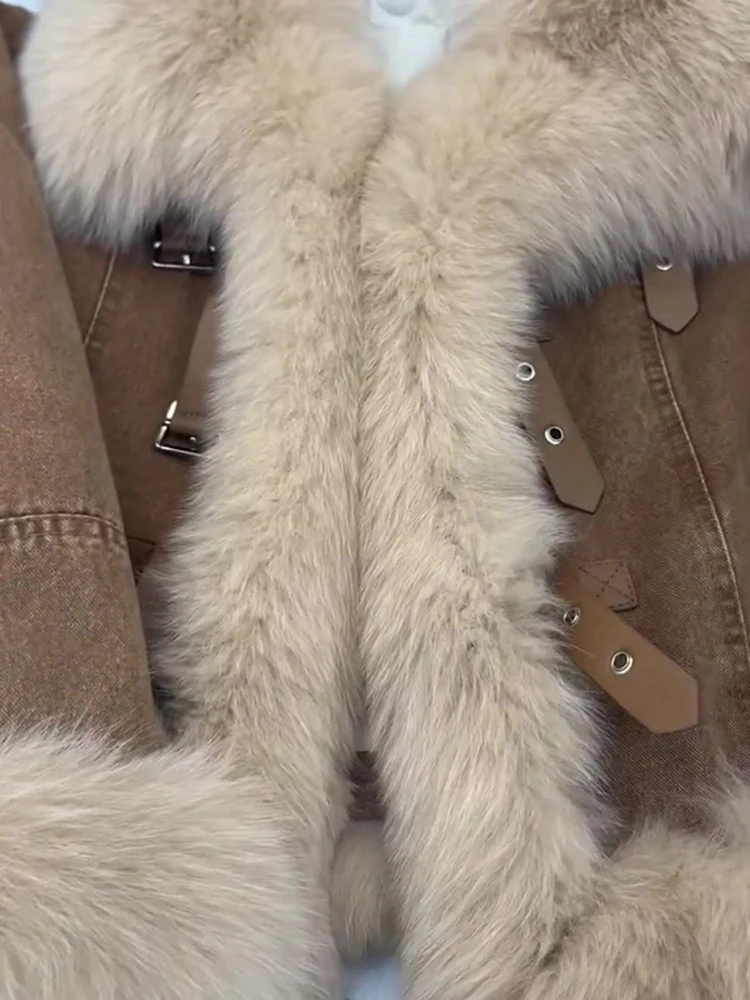 Fashion Brown Plush Thickened Short Coat Women's Autumn Winter Design Sense Clip Cotton Jacket Casual Versatile Long Sleeve Top