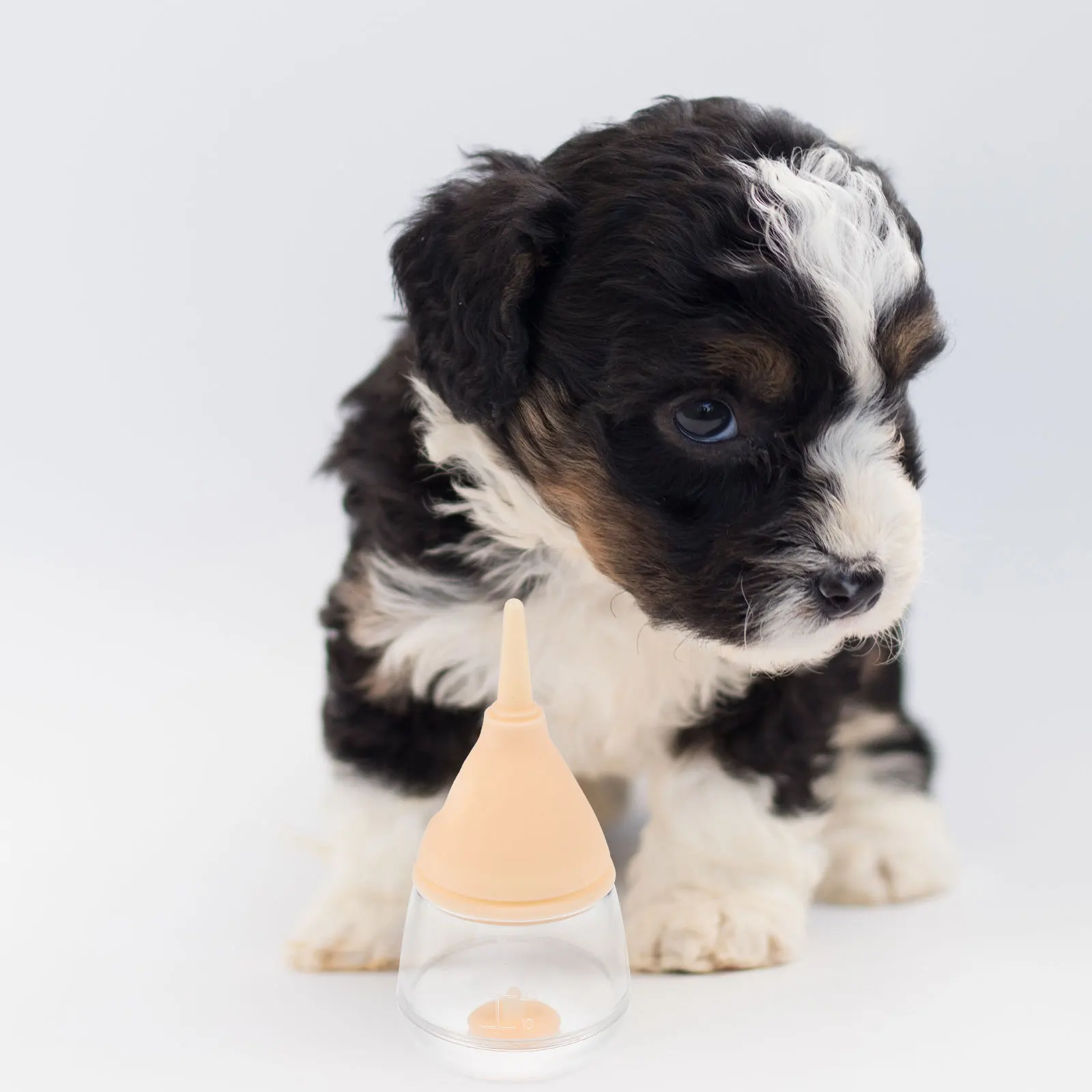 

Pet Feeding Small Animal Nursing Bottle For Puppy Kitten Hamster Rabbit Lightweight Silicone Easy Clean Detachable Design