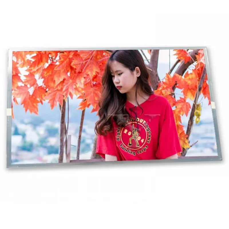 G190EAN01.0 19.0 Inch 30 Pins TFT LCD Monitor Display 1280*1024 Resolution Game Display
