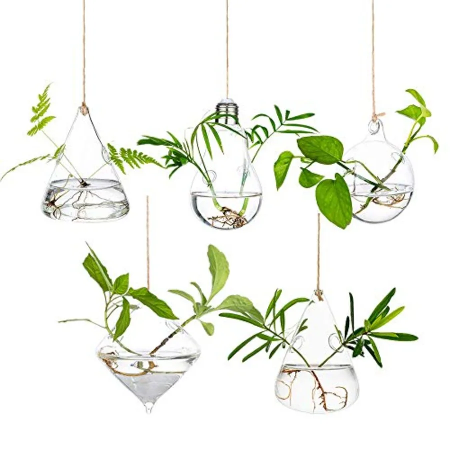 Hanging Planters Glass Terrarium: 5Pcs Modern Plant Propagation Stations Hydroponic Wall Vases for Air Plants Flowers Indoor Wi