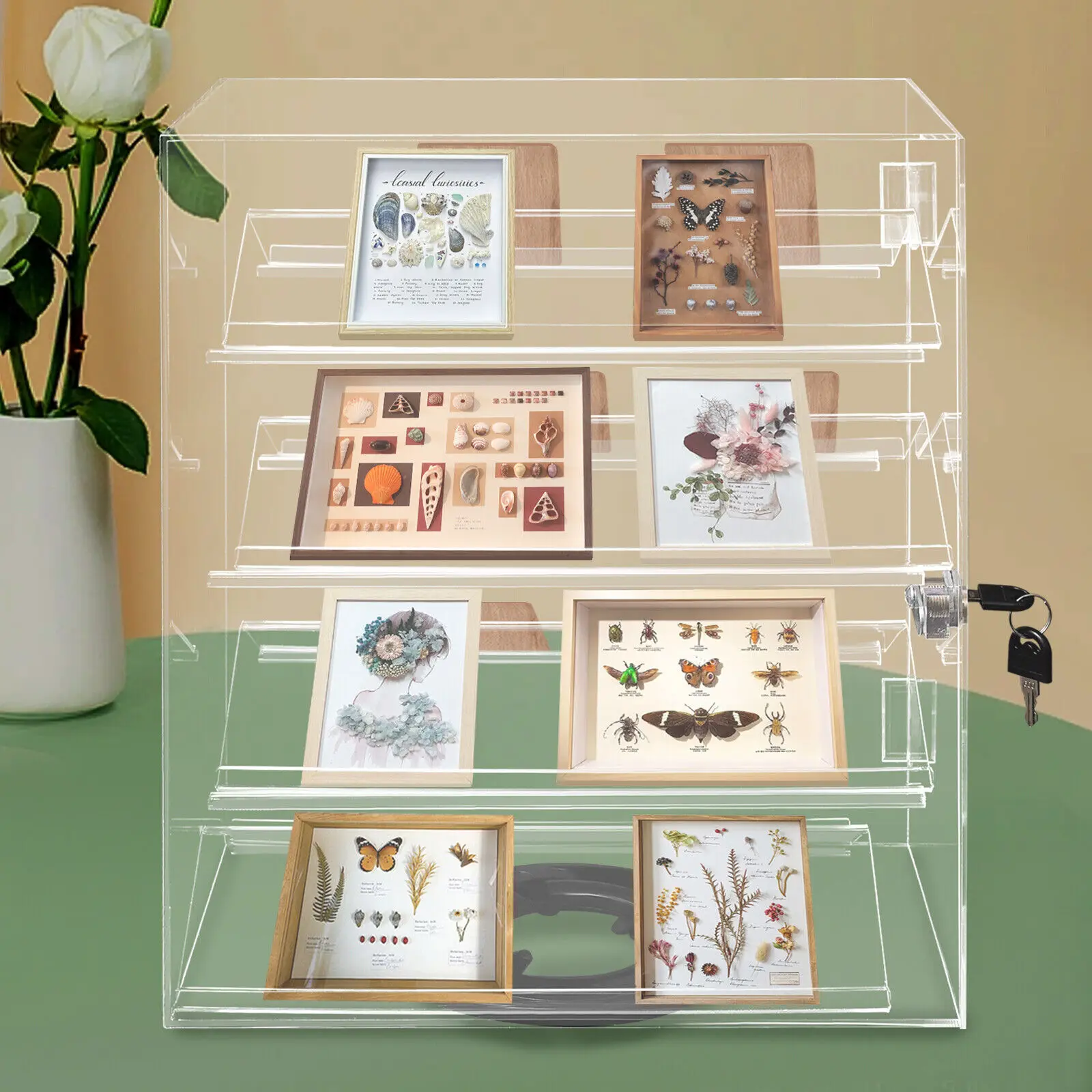 

Tabletop Clear Acrylic Box 13.38*7.48*17.32in Eyewear Showcase Display Case