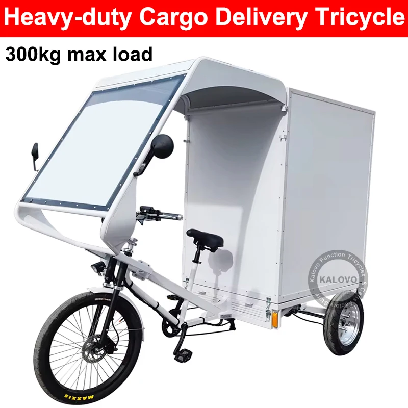 Big Powerful Commercial Express Delivery Vehicle With Closed Cabin and Rear Box 300kg Max Load Express Tricycle Bike