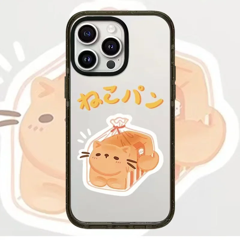 

Cute Cat Box Black Border 2.0 Acrylic Phone Case Cover for IPhone 11 12 13 14 15 Pro Max Case