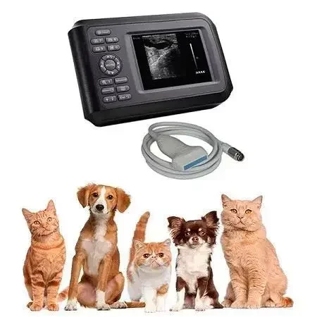 CE Approved China Best Price Medical Ultrasound Equipment Veterinary Ultrasound Vet Clinic