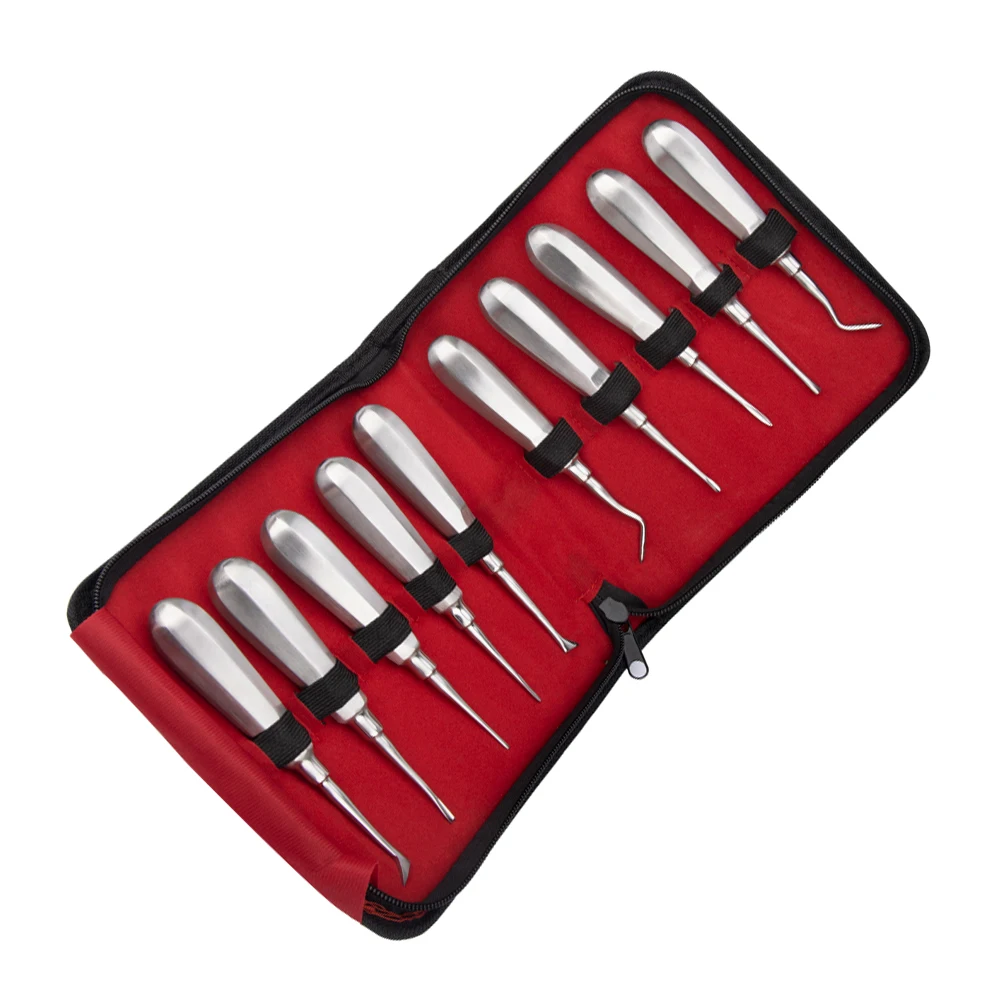 10pcs/set Dental Elevator Set Stainless Steel Curved Root Lift Elevator for Tooth Extracting Surgical Tools Dentist Instruments