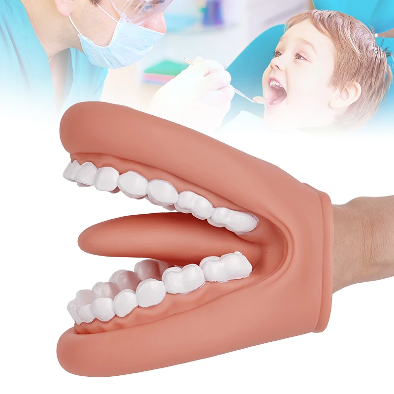 1 Set Zahnmodell Mundpuppe mit Zunge, Zahnmodell mit Zahnbürste für Sprachtherapie und Lernzwecke