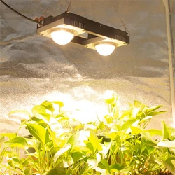 Citizen CLU048 1212 COB LED coltiva la luce spettro completo 200W 3500K LED pianta coltiva la lampada per la tenda da interno serre pianta idroponica