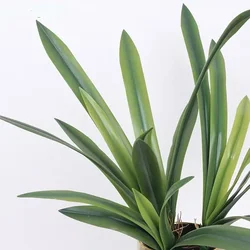 Artificial Cymbidium Leaves Plants Floral Wedding Decorative Soft Rubber Green Plant Simulation Clivia Leaf Hotel Decoration
