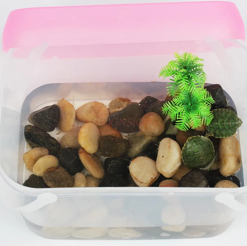 Small fish tank, turtle tank, mini pet breeding box, children's portable small plastic, children raising tadpoles