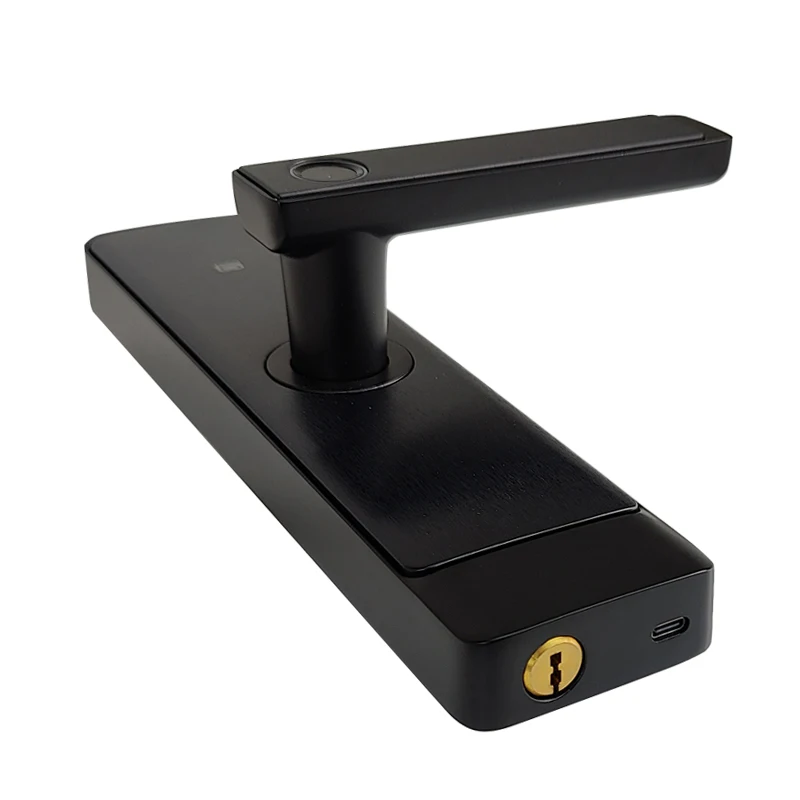 Защитный дверной замок с паролем по отпечатку пальца, оптовая продажа с фабрики, версия TTlock иTUYA опционально