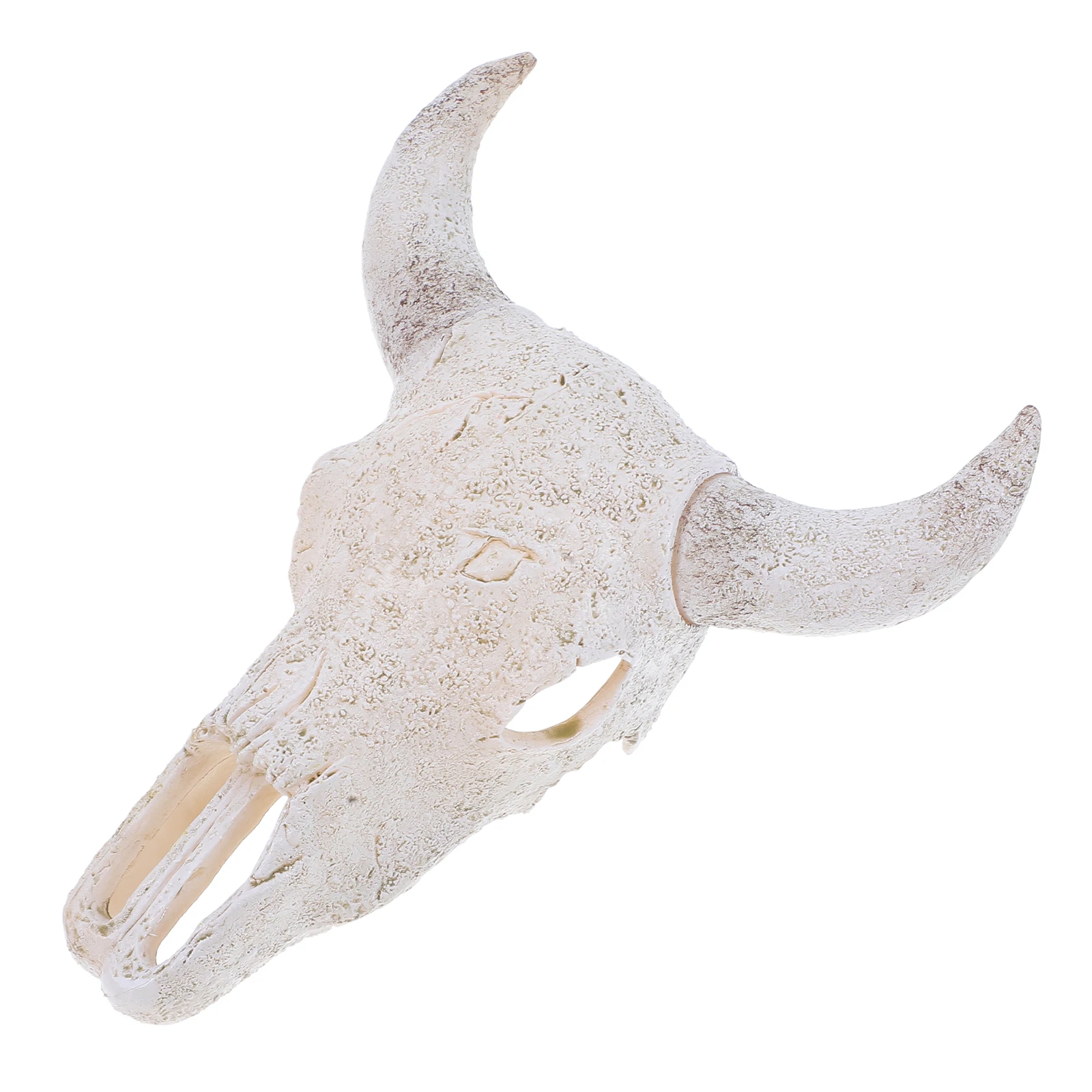

Skull Wall Hanging Decor Resin Cow Skull Figure Western Room Art Living Room Bedroom Wall Sculpture Statement Piece