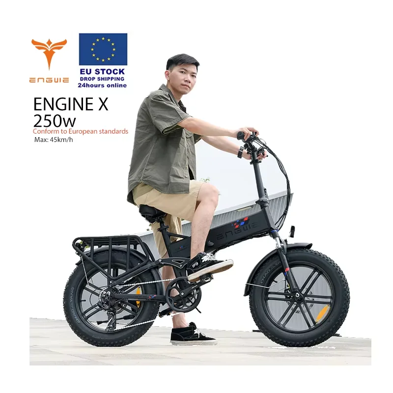 

For ENGWE Engine X Electric Bicycle 250W Fat Tire Mountain Bike 48V 13Ah Lithium Battery Aluminum Alloy Disc Brake Brushless