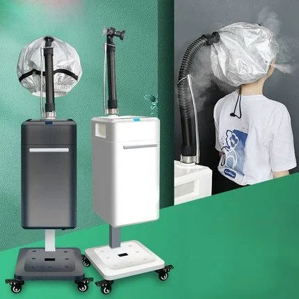 Top Manufacturer Professional Cap Bonnet Ionic Micro Mist Micromist Hair Salon Steamer Machine with Care Hari SPA Treatment