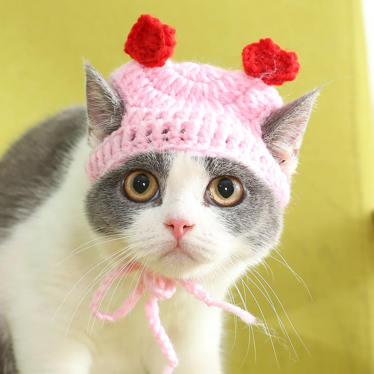 

Cat Headgear Knitted Hat Hand-made Cute Fruit Shape Knitted Funny Birthday Christmas Hat Adjustable Bouncy For Pet Neck 28-35cm