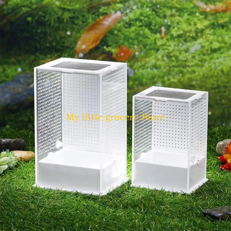 D5BD Insect Feeding Box Transparent Container Plastic Terrarium for Spiders Small Snakes for Carrier Box Easy to Deta view 2