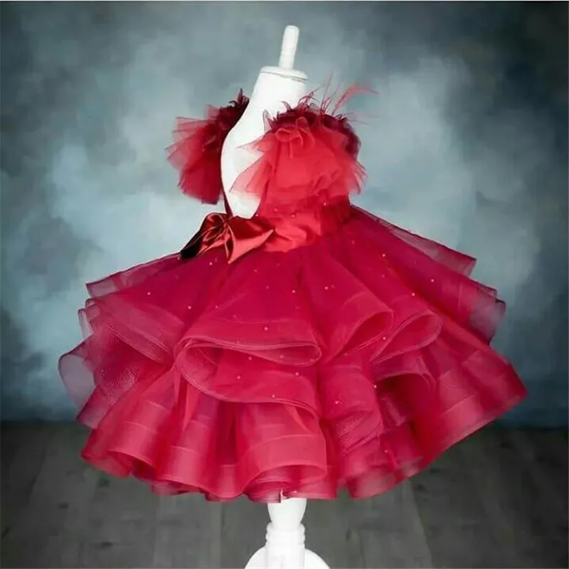 

Red Flowers Baby Girl Dresses Little Princess Infant Girls First Birthday Party Dress Pageant Gown Special Occasion