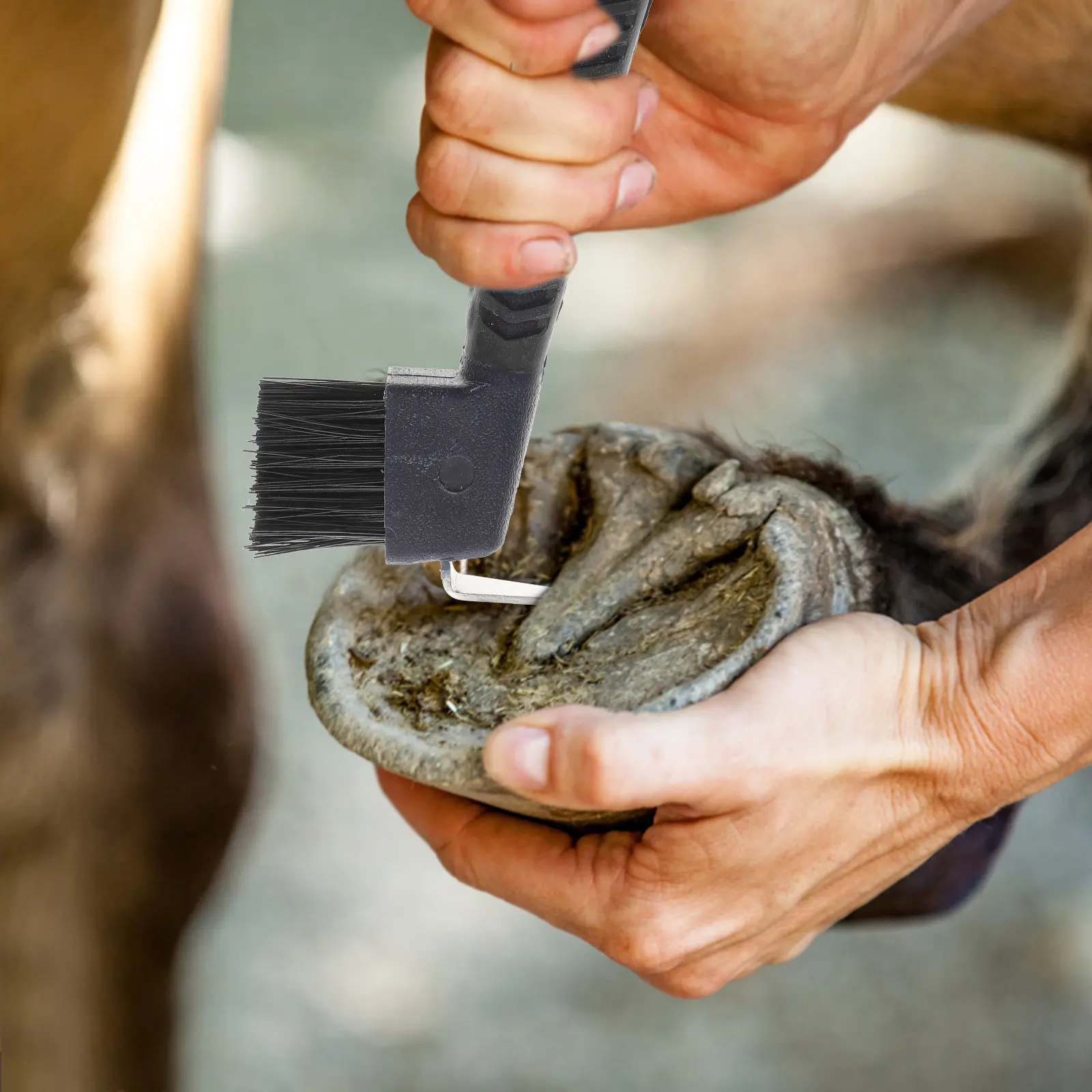 Raspador de cascos de caballo de acero inoxidable con mango de goma, herramienta de aseo para caballos, limpiador de suciedad de cascos, raspador para afilar herraduras