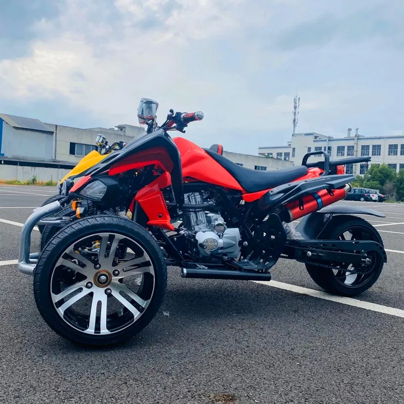 3 Wheel Adult Motorcycle Multi-Function ATV 250cc Manual Chain Drive 4-Stroke 2WD Disc Brakes CE Certified