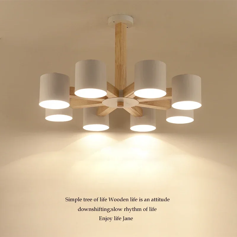 Nordic  3/6/8 head Korea Chandelier lighting modern  living room creative suspension lamp