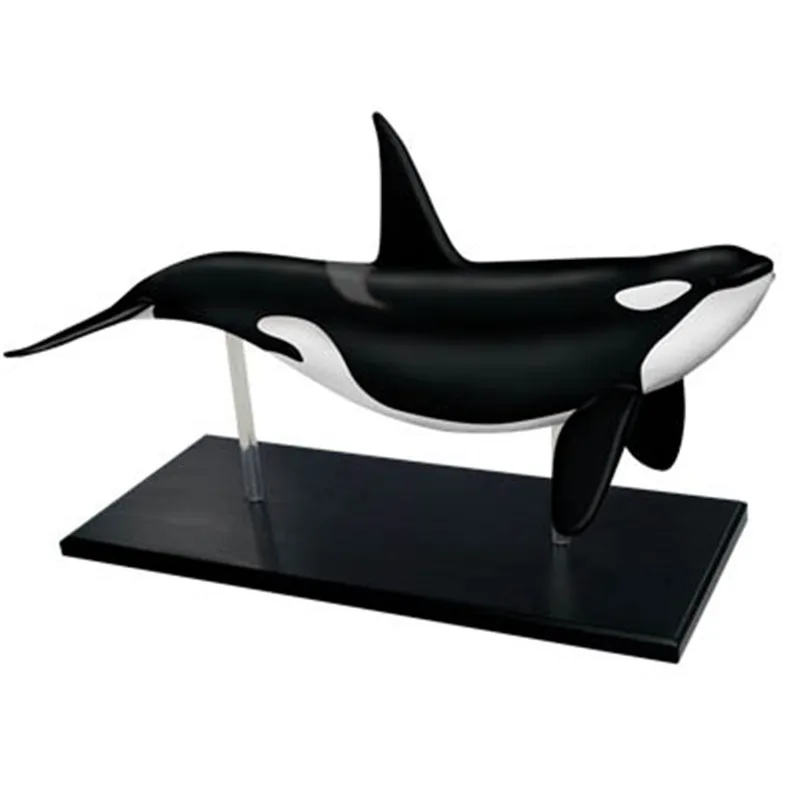 

4D Vision Orca Whale Anatomy Model Skeleton Medical Puzzle Assembling Toy Teaching Aid Laboratory Education Equipment