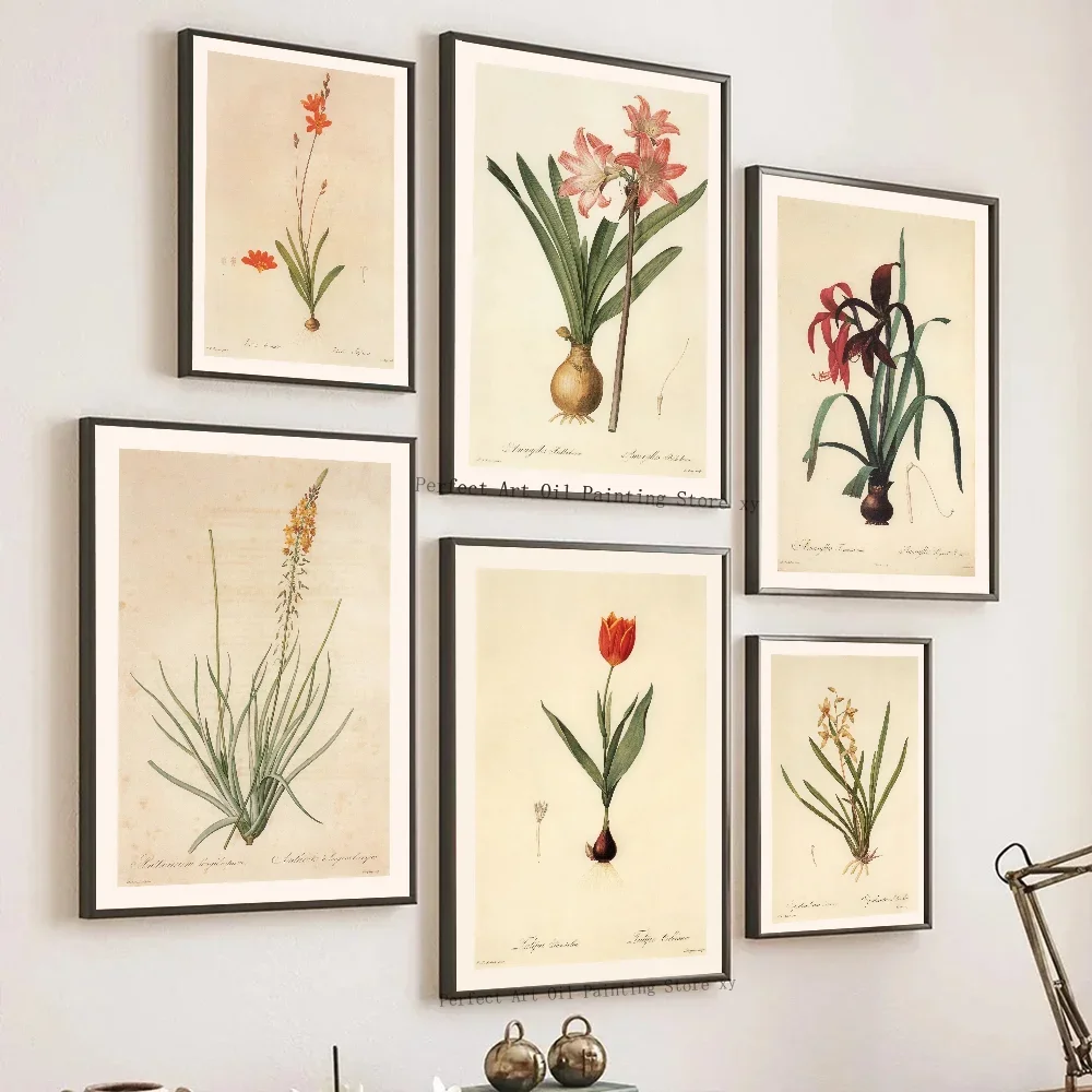 (2D Canvas Painting)  1PC Blush-colored Crinum Barbados Lily Vintage Botanical Poster Paper Print Home Living Room Bedroom En