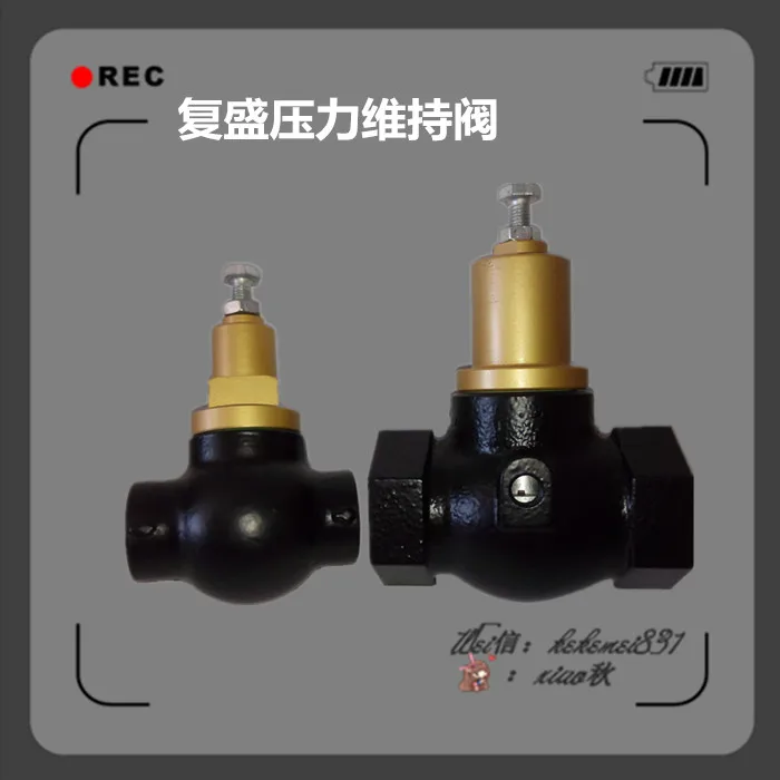 

22KW Air Compressor Minimum Pressure Maintenance Valve 71111111-47001 Pressure Maintaining Valve 2605330921