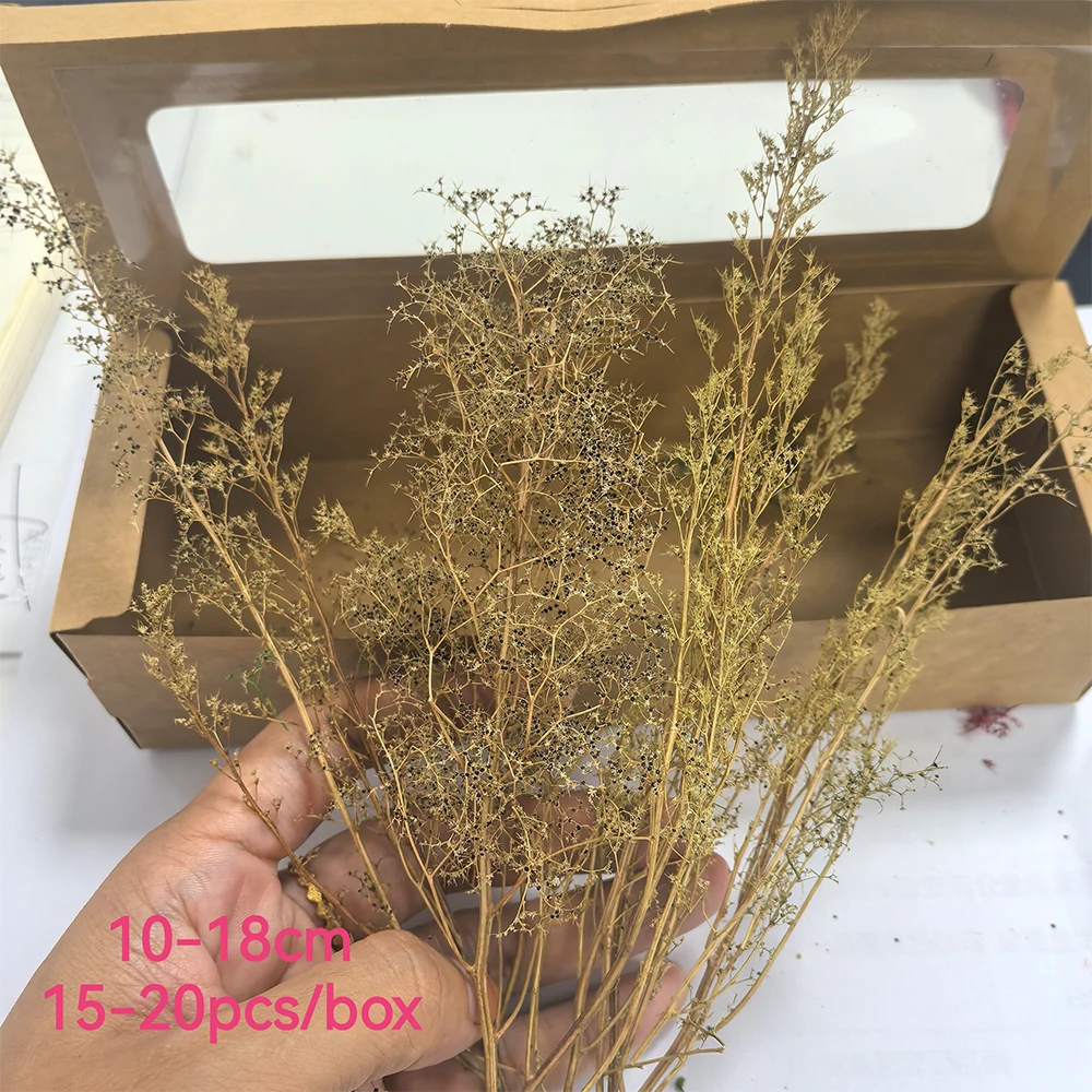 12-20CM 소형 Tribulus 모델 시뮬레이션 트리 장면 식생 부시 HO N 철도 기차 군사 Wargame Diorama 1Box