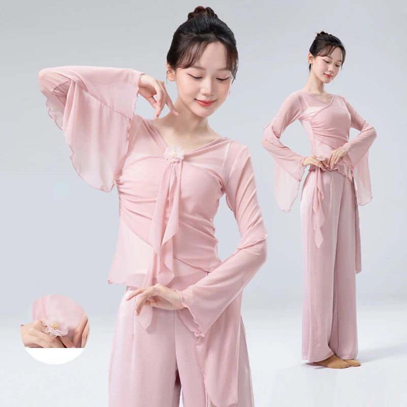 Classical Dance Gauze Mesh Top Women Flared Sleeve Sheer Shirt Training Flowy Body Rhyme Competition Tops Chinese Folk Dancewear