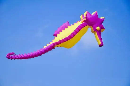 10M  Giant  Inflatable  Easy Flying Nylon  Frameless 3d Beach Soft Show Seahorse Kite Flying for Adults