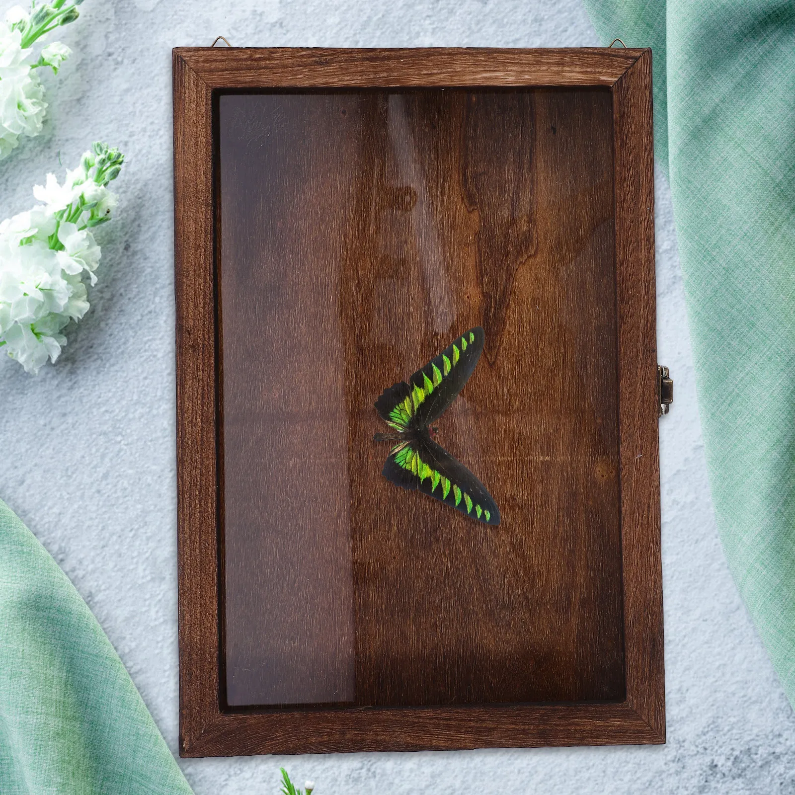 Display Frame for Photos, Halloween Decor