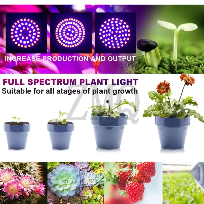 Led تنمو لمبة 220 فولت E27 48 60 80 المصابيح الطيف الكامل LED النبات الدفيئة المائية النمو ضوء نبات داخلي فيتو زهرة مصباح