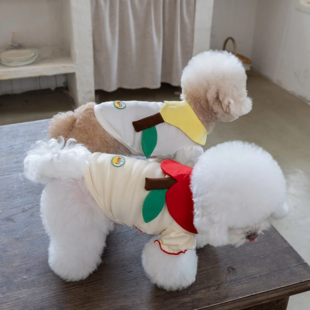 Autumn/Winter Pet Fruit Top Pet Thick T-shirt Teddy Cat Cute Base Shirt Puppy Clothes Dog Clothes for Small Dogs